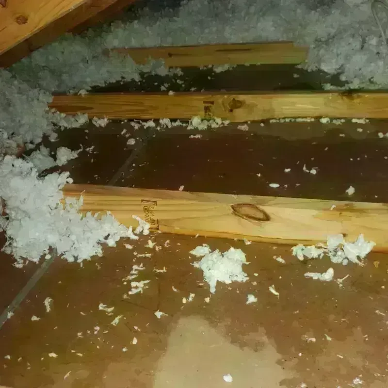 Attic Water Damage in Belmont, PA