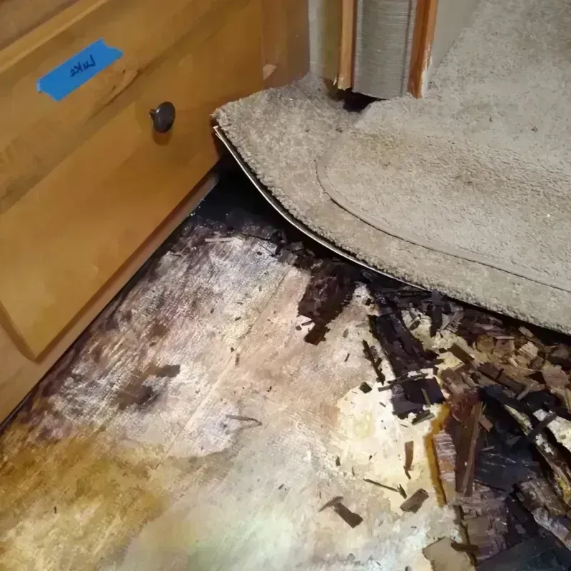 Wood Floor Water Damage in Belmont, PA